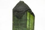 Gemmy, Bicolor Elbaite Tourmaline - Cruzeiro Mine, Brazil #217576-2